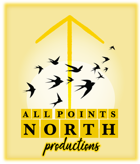 ALL POINTS NORTH PRODUCTIONS : A Female Led Immersive Community Driven Collective